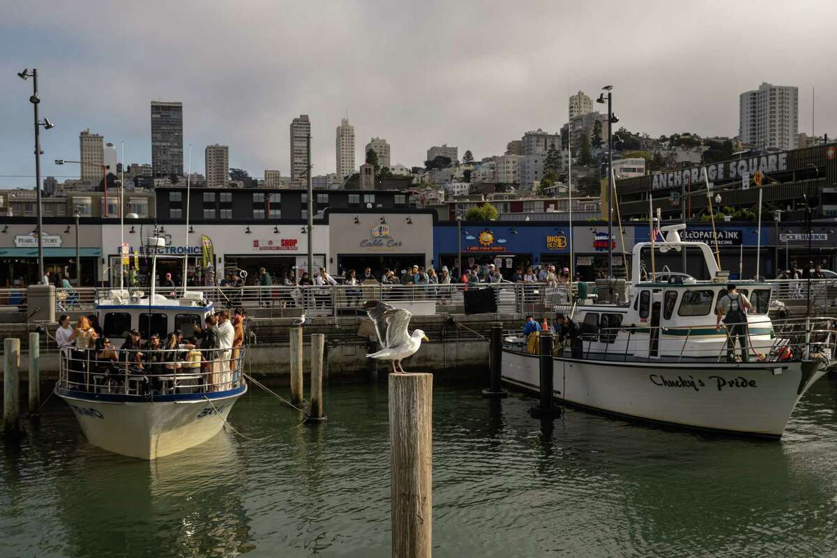 How do Fisherman's Wharf tourists and merchants feel after Pier 39