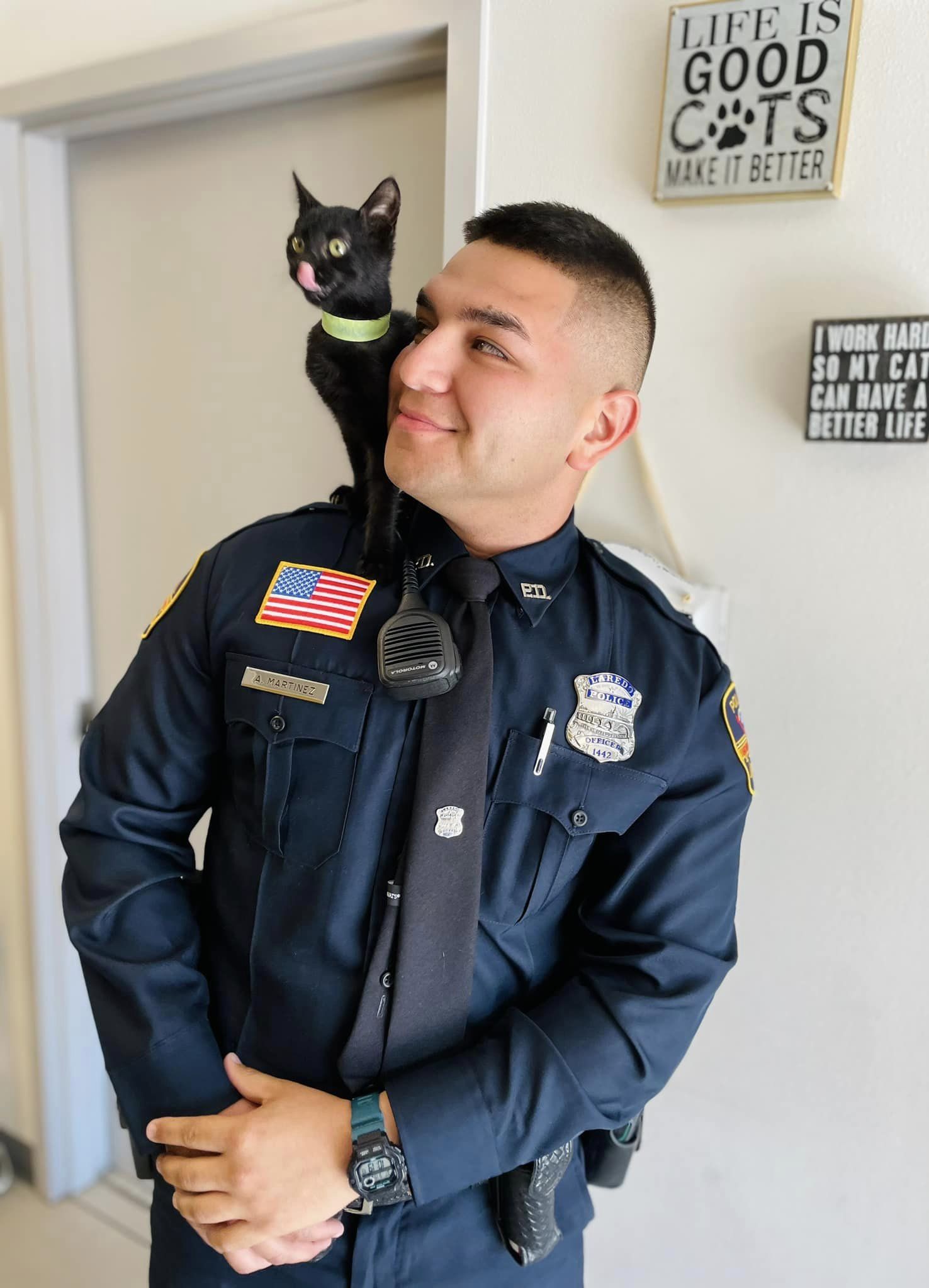 Beyoncé, Flaming Hot up for adoption as Laredo's Pets of the Week