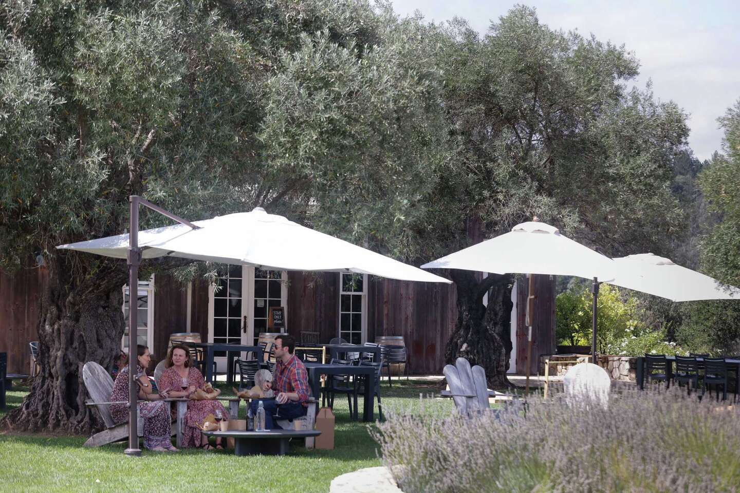 Sonoma County wineries that don’t require reservations
