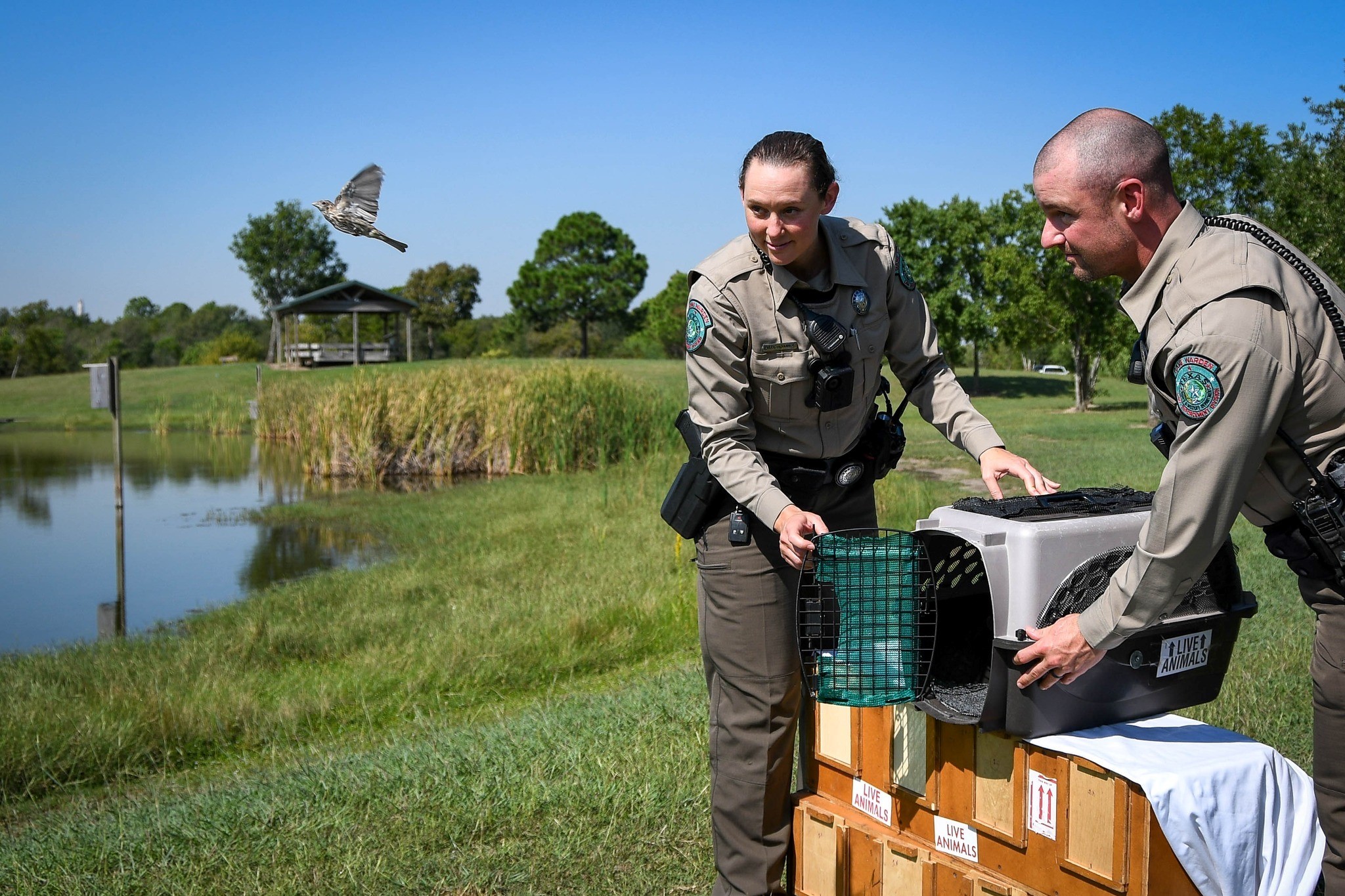 six-in-texas-indicted-for-illegal-trafficking-of-songbirds