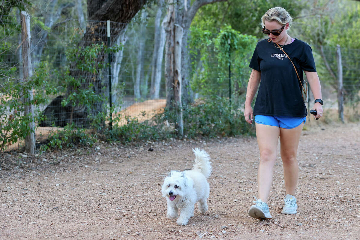 Things to know before unleashing your pup at a dog park