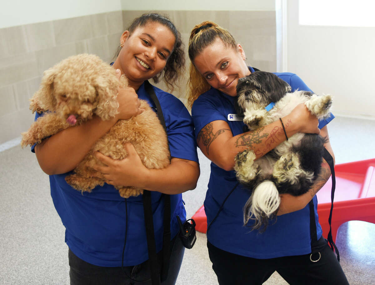 Pet care technicians Jada Jennings, left, and Christina Dibiase hold dogs Cocoa and Chestnut in the small dog indoor play area at K9 Resorts Luxury Pet Hotel in Stamford, Conn. Thursday, Sept. 7, 2023. The luxury dog boarding and day care facility features state-of-the-art amenities, hands-on care, and more than 2,000 square feet of outdoor space.