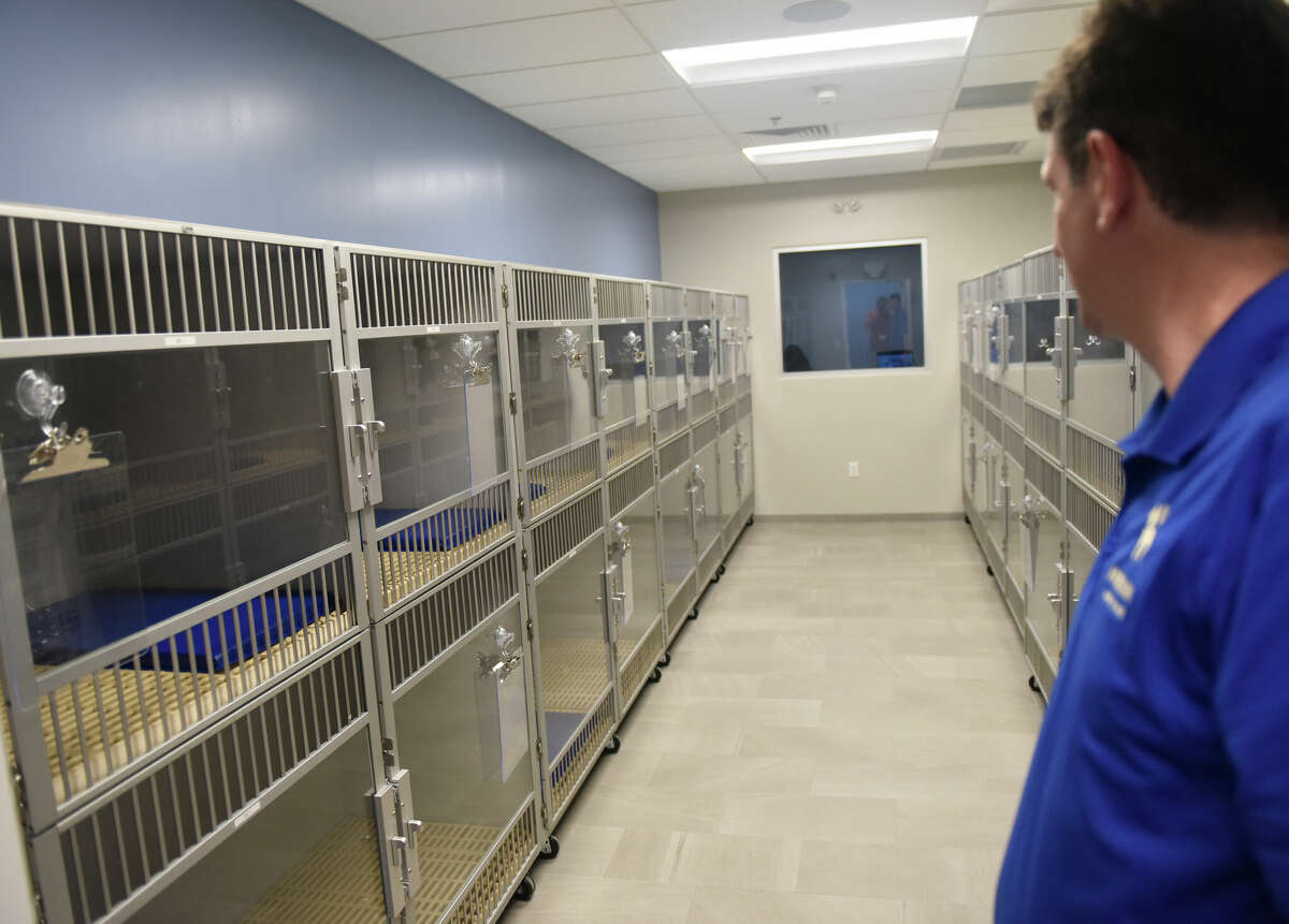 Stamford's K9 Resorts calls itself a '5star luxury hotel' for dogs