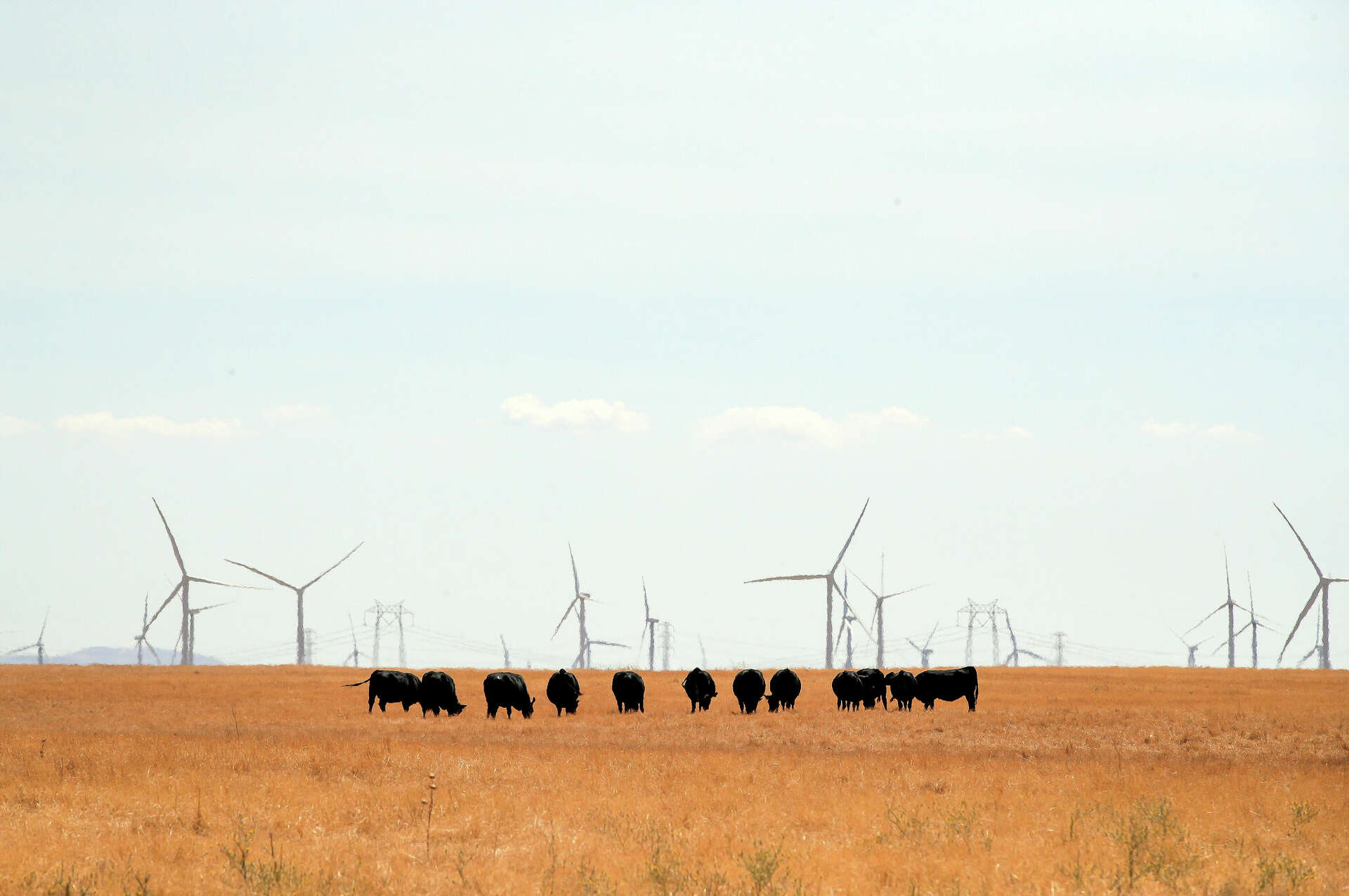 Is planned new California city a YIMBY dream or nightmare?