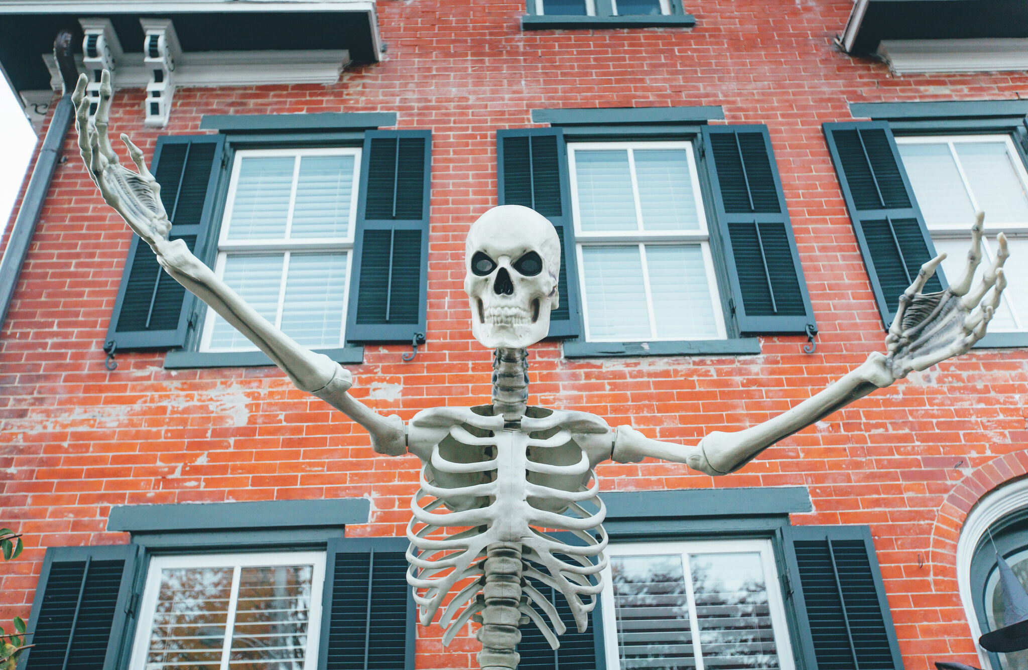 H-E-B is now offering a 10-foot giant skeleton for Halloween