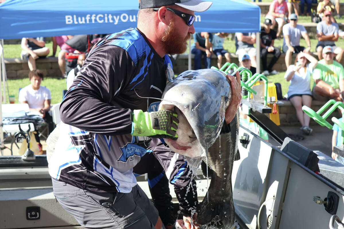 106pound catfish highlights Alton Catfish Classic
