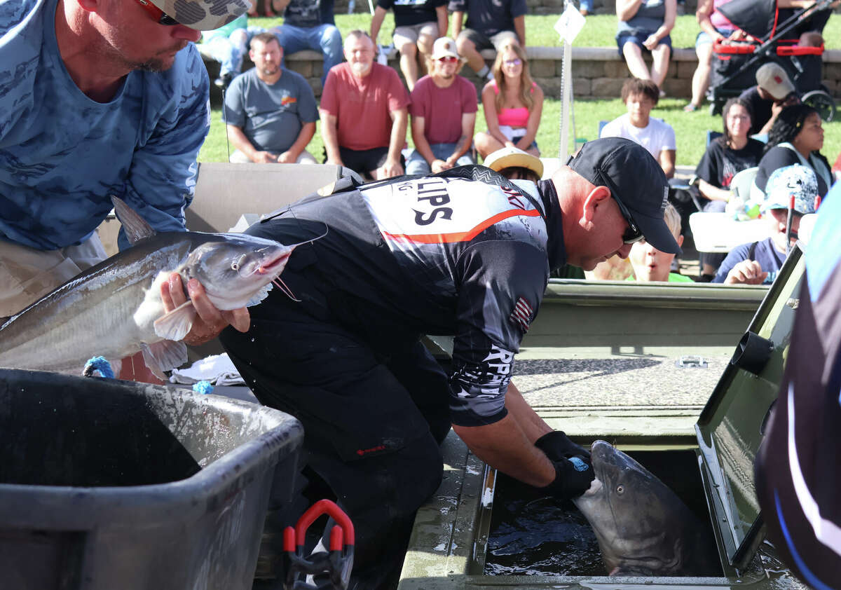 106pound catfish highlights Alton Catfish Classic