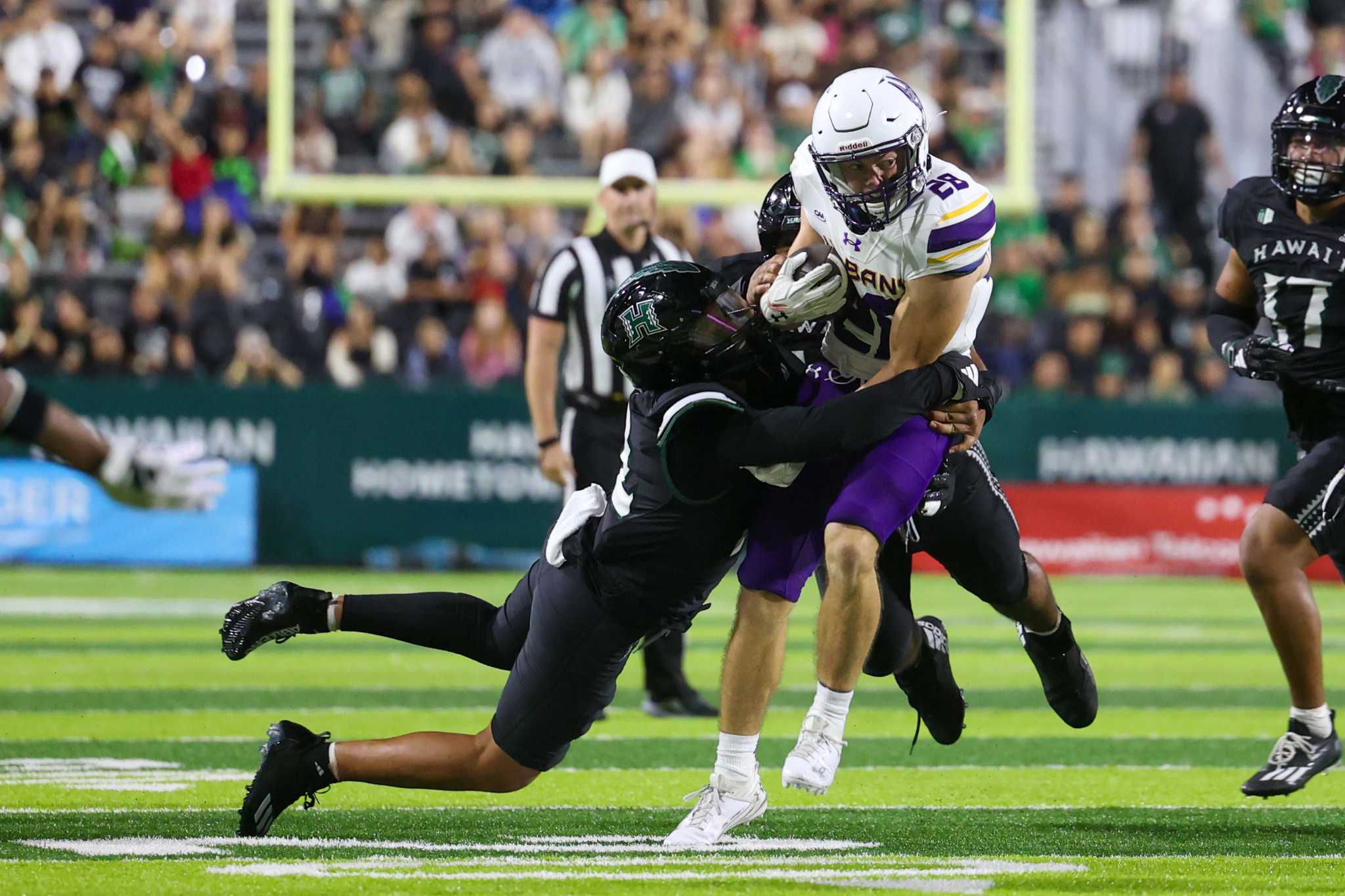 Football Opens Season with Dominating Win Over Fordham - University at  Albany Great Danes