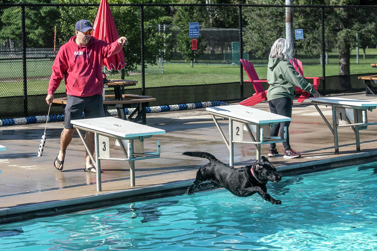 Jeremy Jacobson watches as his dog Marhjee leaps into Plymouth Pool at Saturday's Pooches at the Pool event.