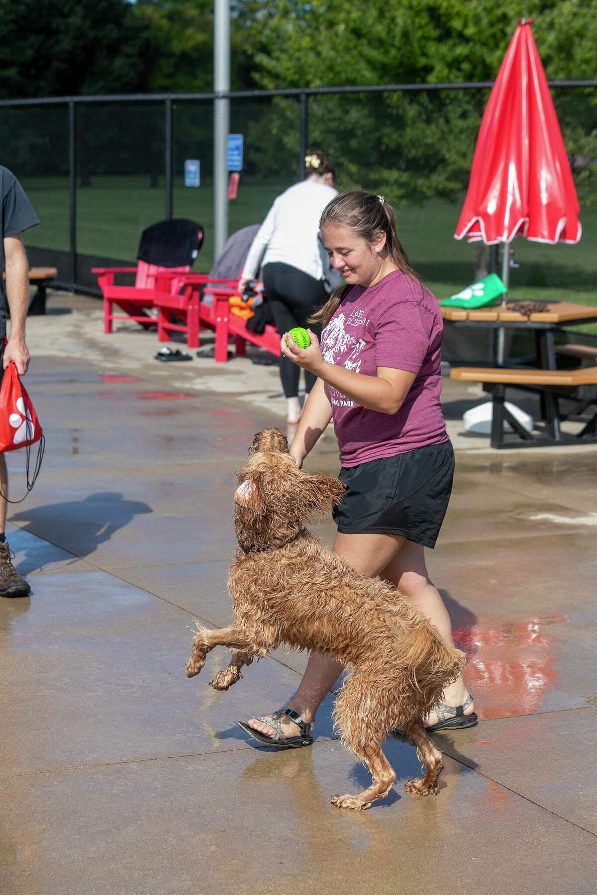 Ellie Connor plays fetch with her dog Piper at Plymouth Pool during Saturday's Pooches at the Pool event.