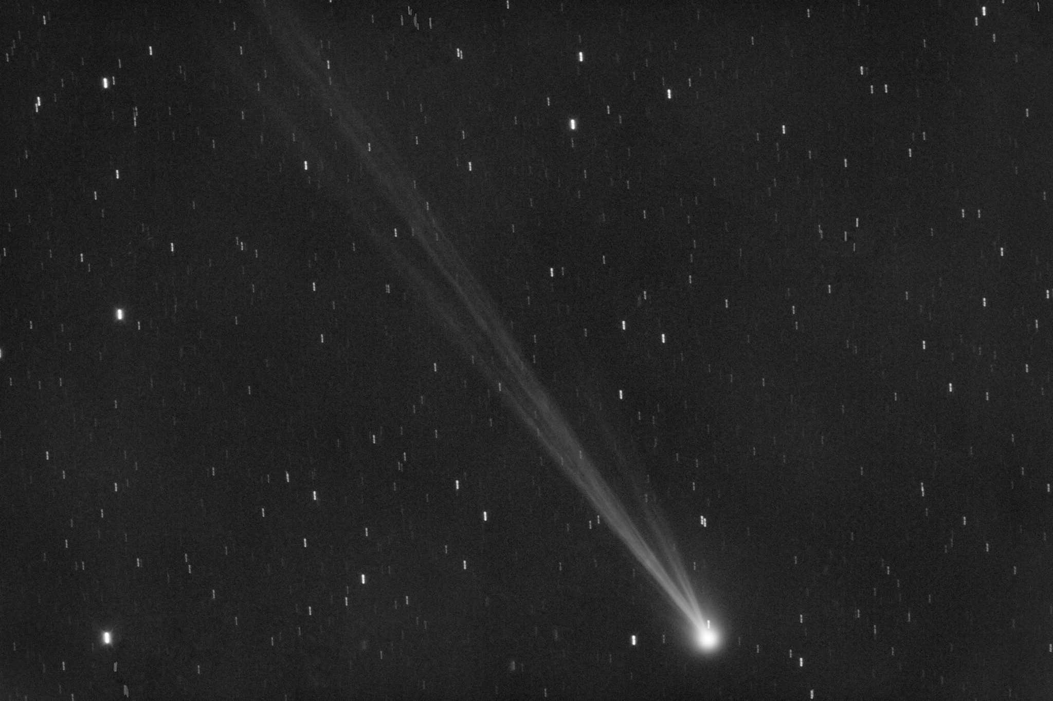 新发现的绿色彗星将在430年轨道上经过地球。在湾区能看到吗？