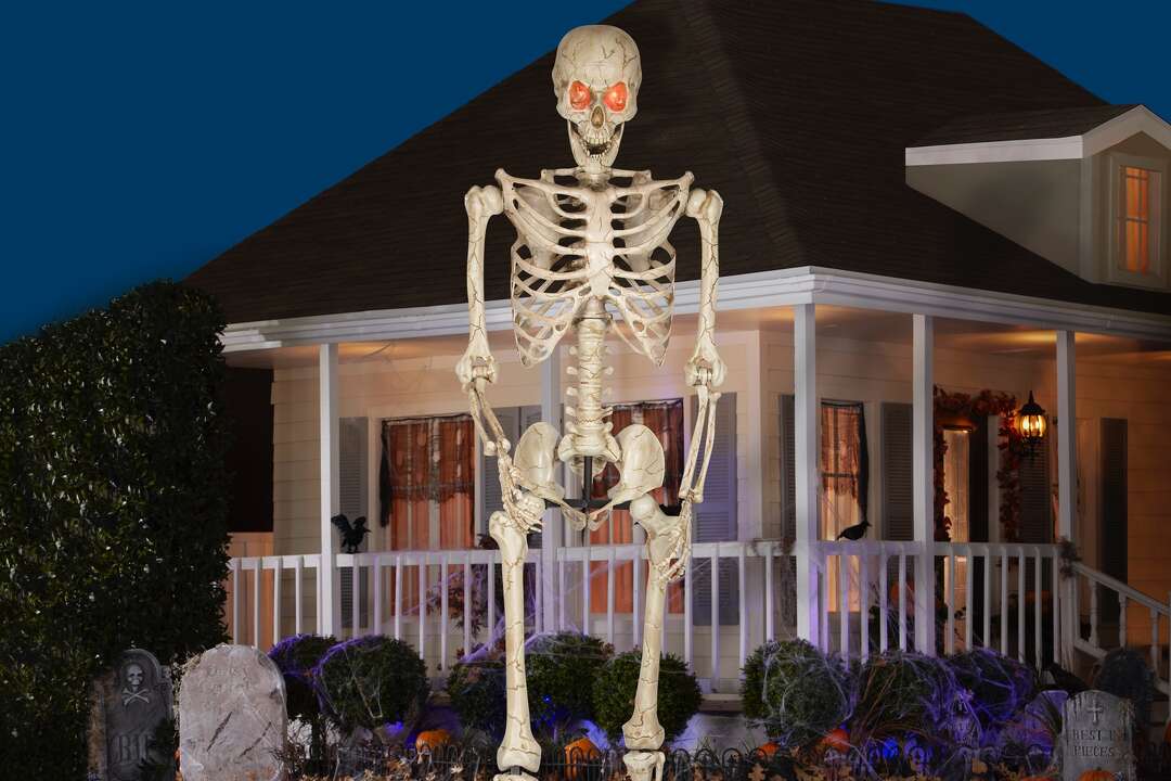 H-E-B is also selling giant Halloween skeletons this year