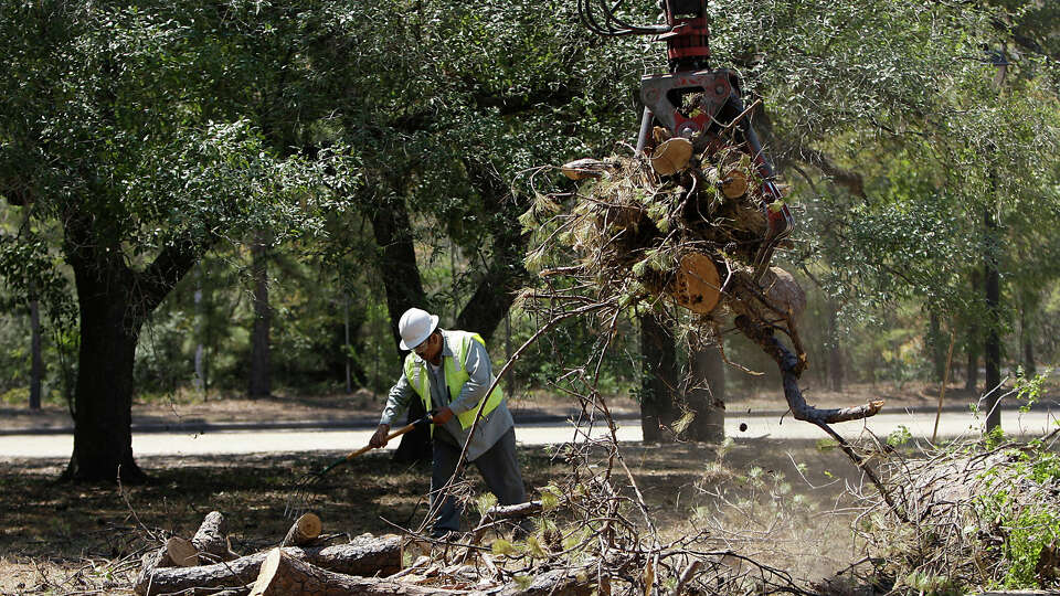 A member of a city crew cleans up a dead tree in Memorial Park at the corner of Memorial Drive and East Memorial Loop Drive, Friday, Sept. 9, 2011, in Houston. 