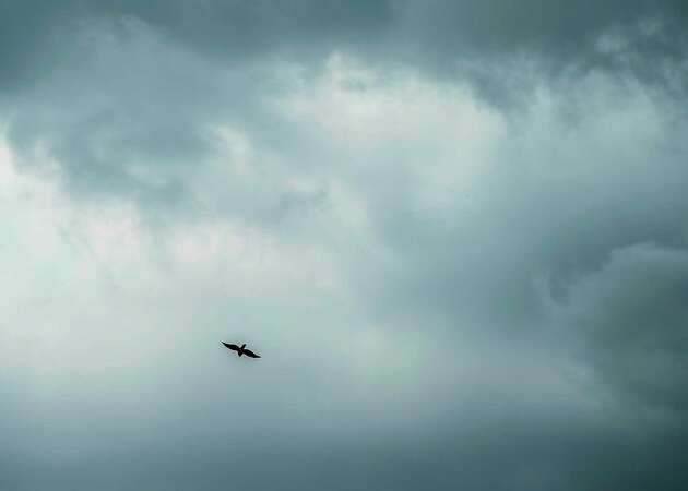 A bird flies below the storm clouds overhead near downtown on Thursday, Sept. 14, 2023 in Houston.