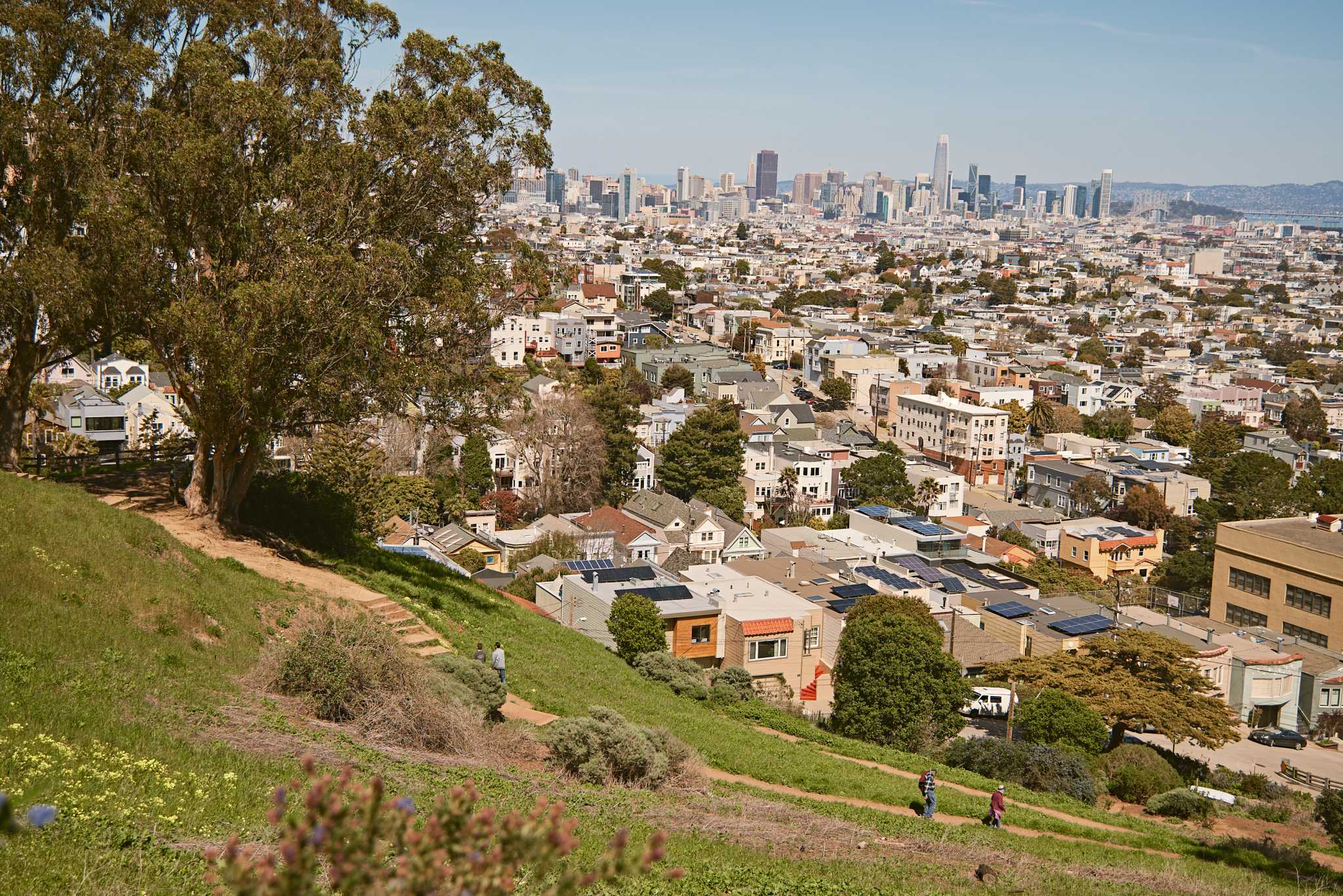 S.F. street-naming game goes viral. Here's the top score so far