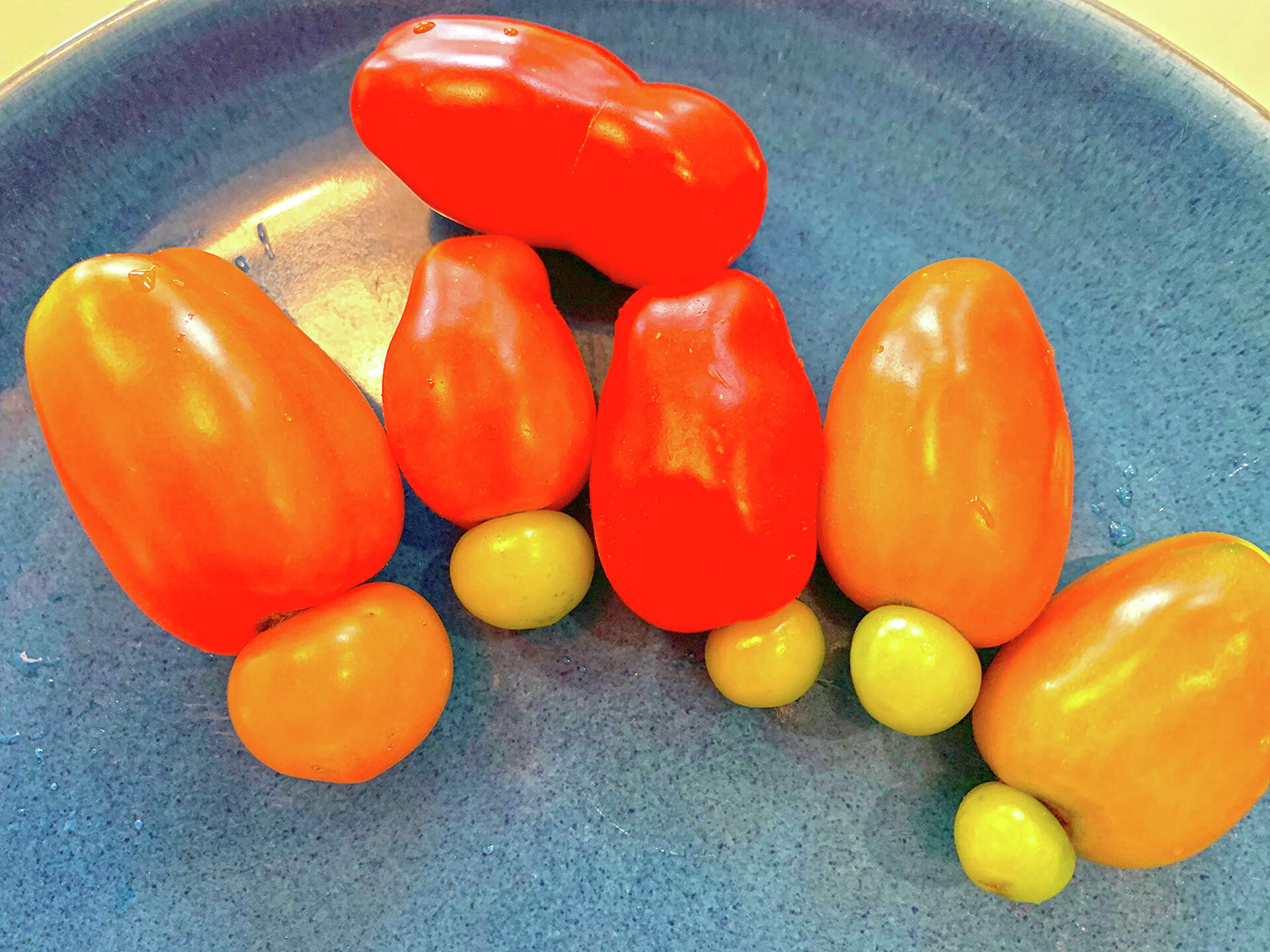 Mutant tomatoes are here (and they come in peace)