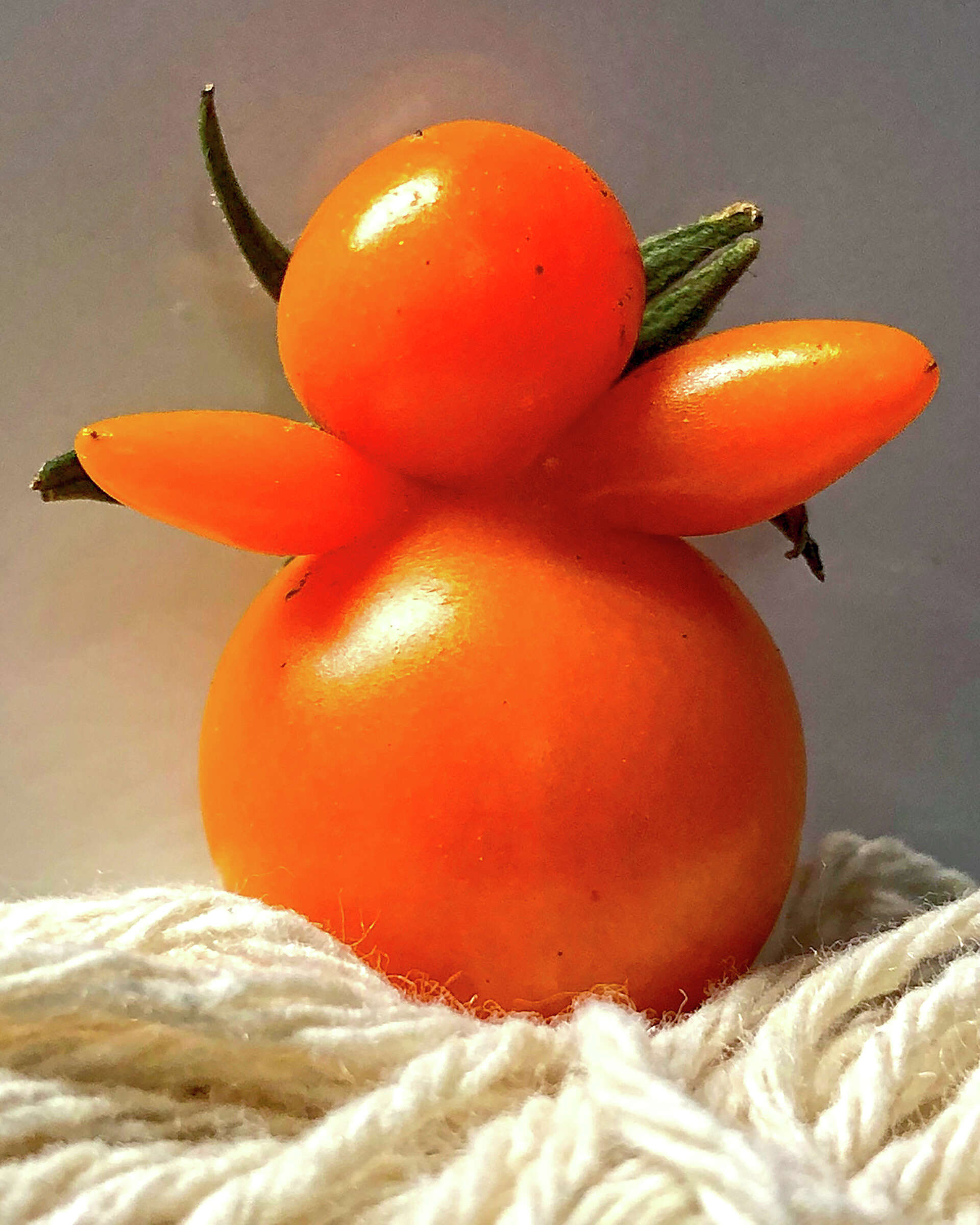 Mutant tomatoes are here (and they come in peace)