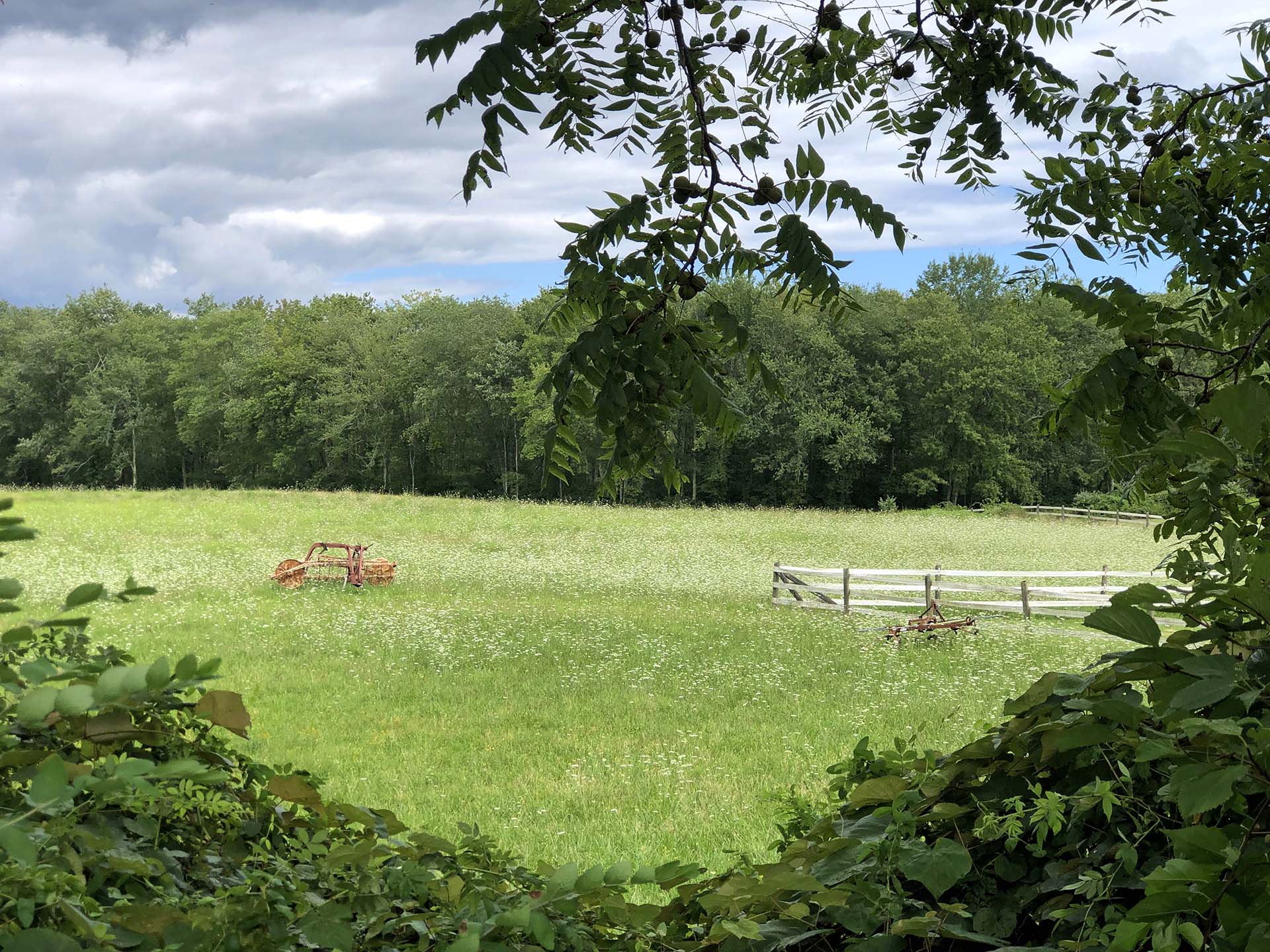 Explore scenic CT trails at Avery Farm and Candlewood Ridge
