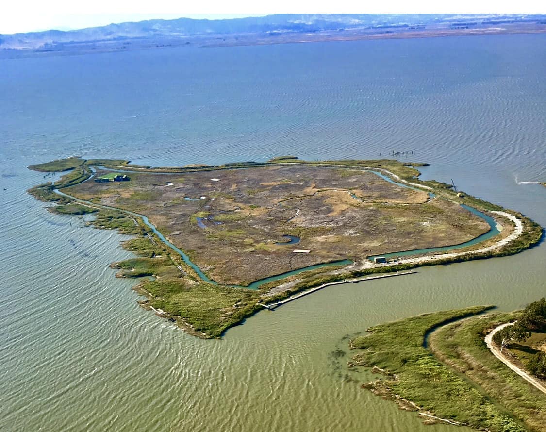 旧金山湾边风光如画的私人岛屿以7500万美元出售