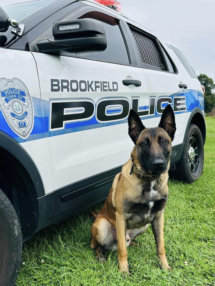 Brookfield Police K9 Officer Bruno laid to rest