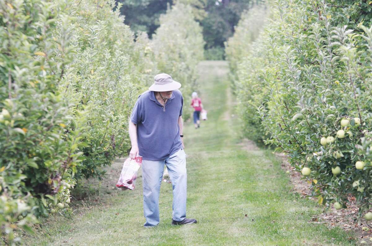 Apple picking now offered at Eckert's in Grafton