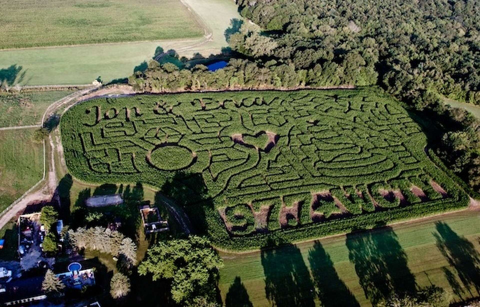 CT corn maze one of the best in U.S., Time Out magazine says