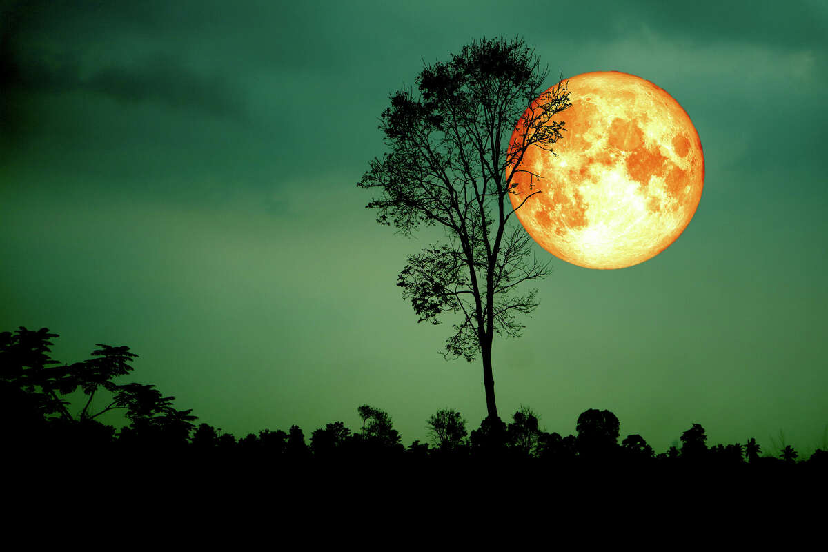 Skywatchers Harvest full moon, the last supermoon for 2023