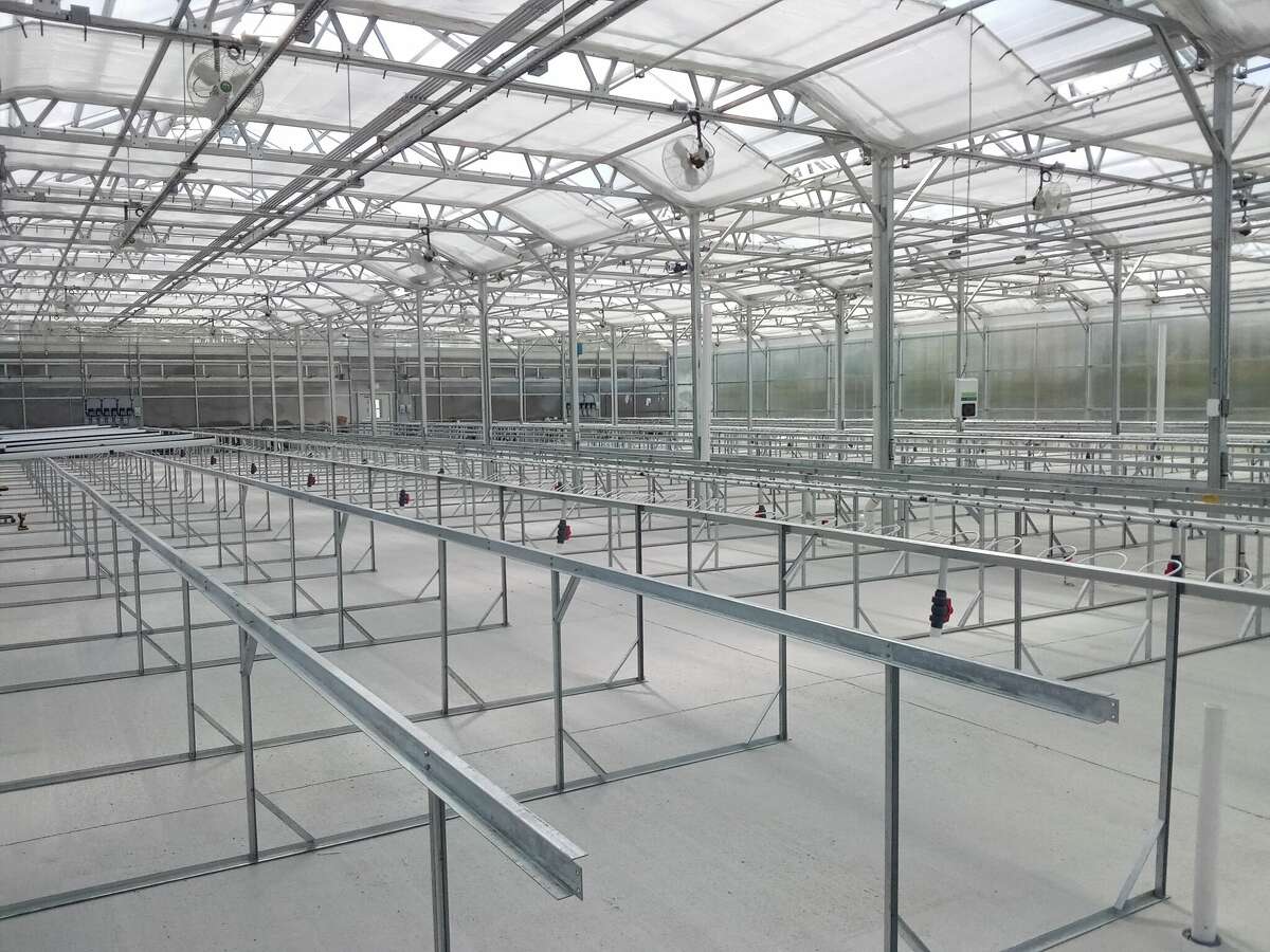 Torrington hydroponic farm's produce sold around state