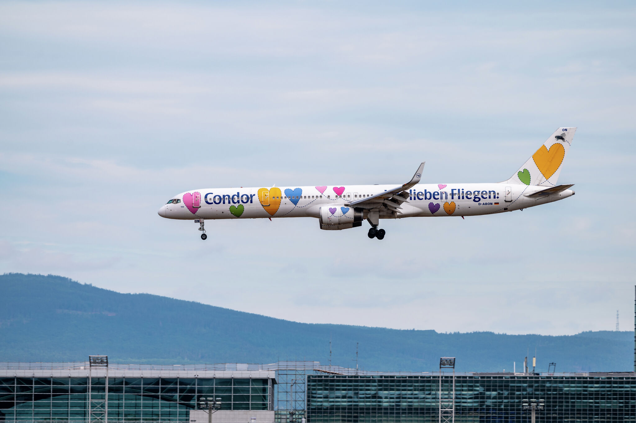 Condor Airlines News on X: We have completed our first mission  #homewithcondor: Almost 78,000 travellers, 3 dogs and 3 cats aboard 400  flights are back home from five continents, 34 countries and