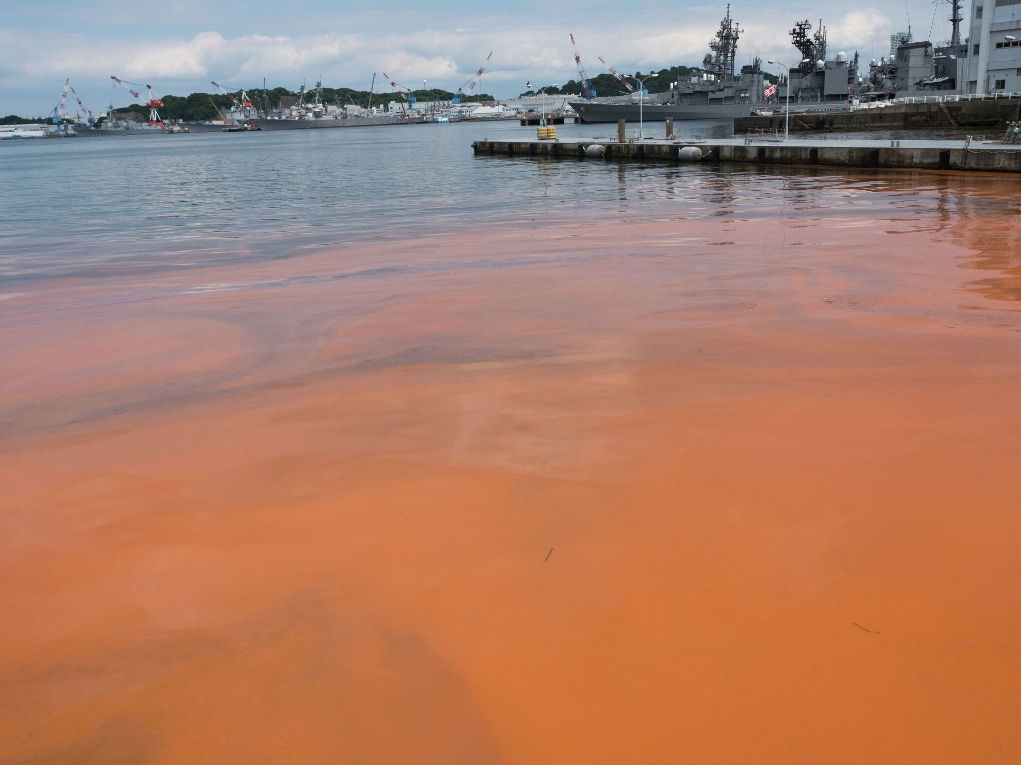 Red tide event along Texas coast confirmed by TPWD