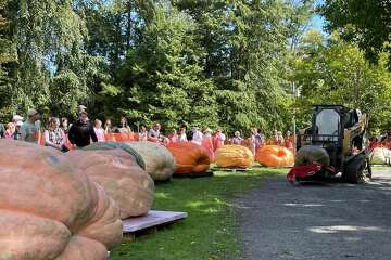 12th Giant Pumpkin Weigh-Off coming Sunday to Ridgefield