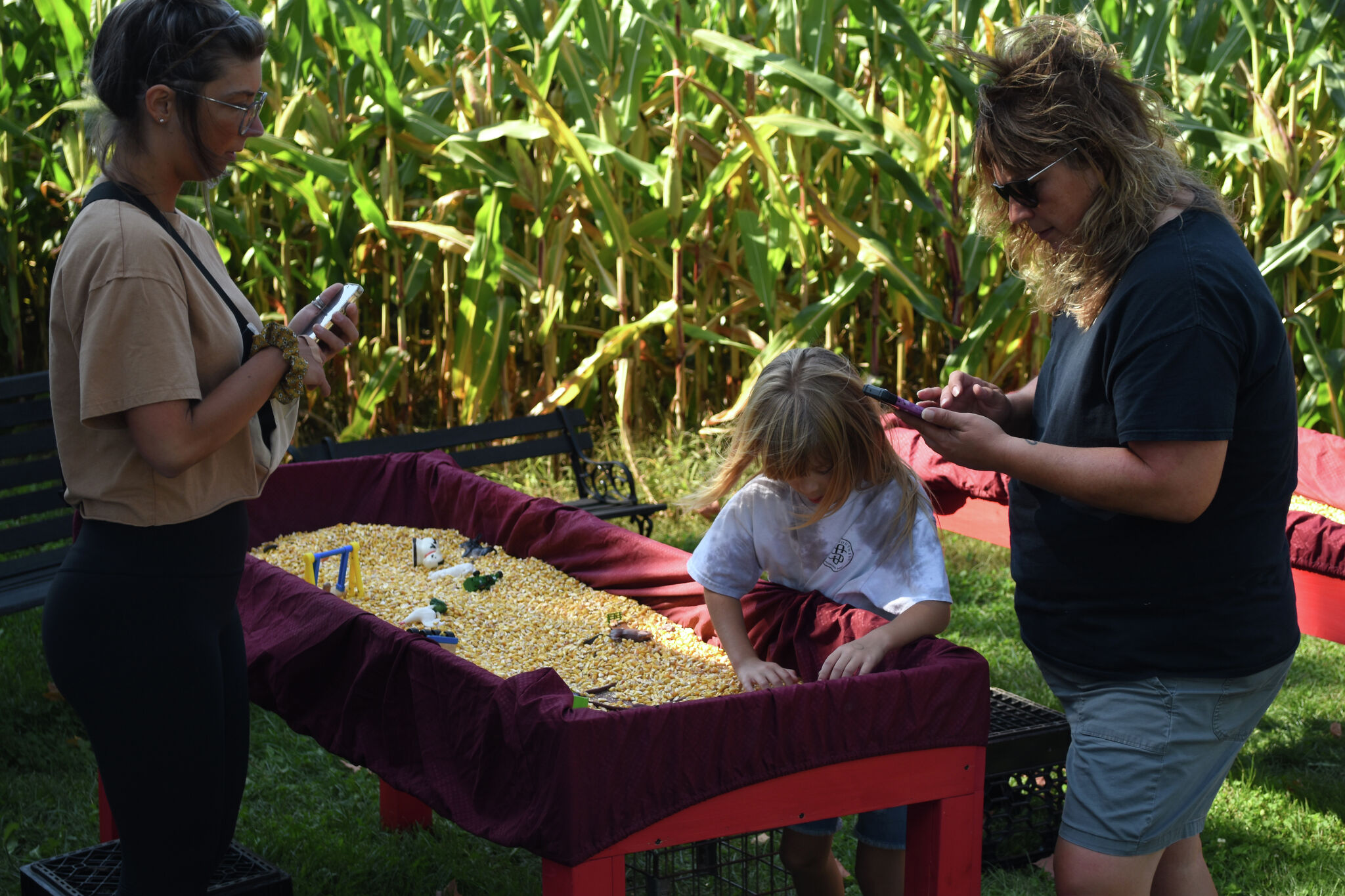 Hersey's Oxford Farm Corn Maze has successful opening to 2023 season