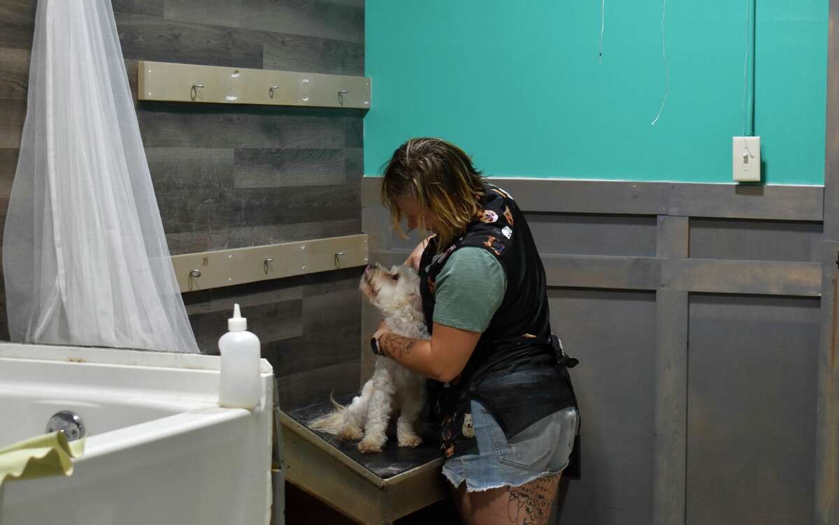 Big Rapids Dirty Dogs Grooming & Day Care serves furry friends