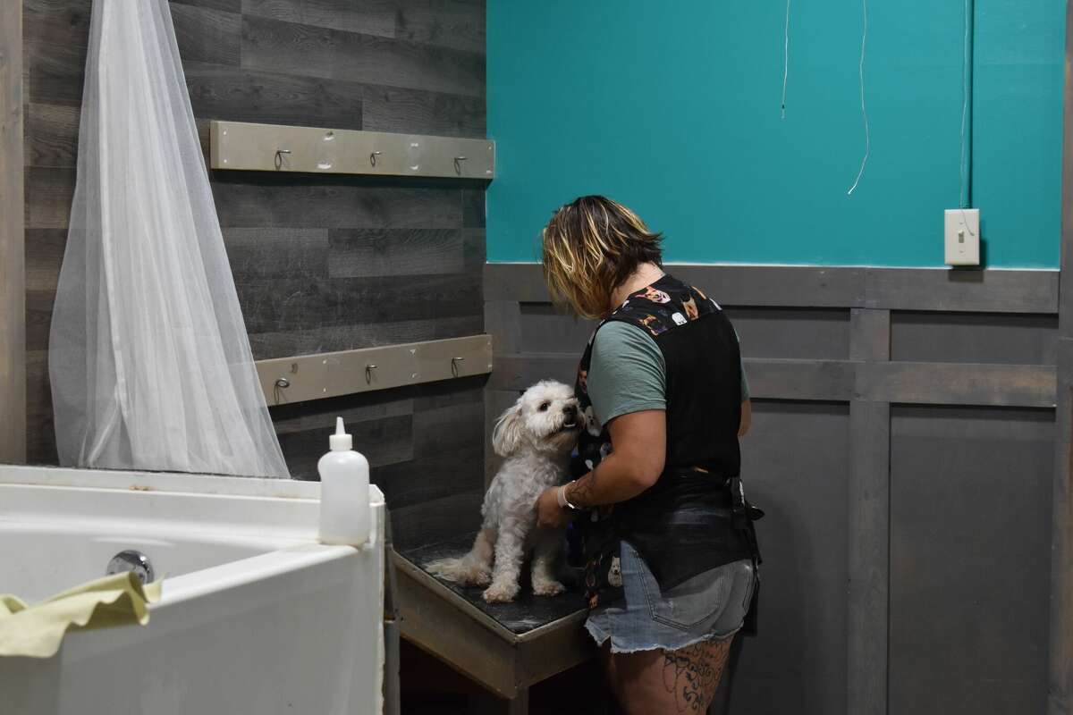 Big Rapids Dirty Dogs Grooming & Day Care serves furry friends