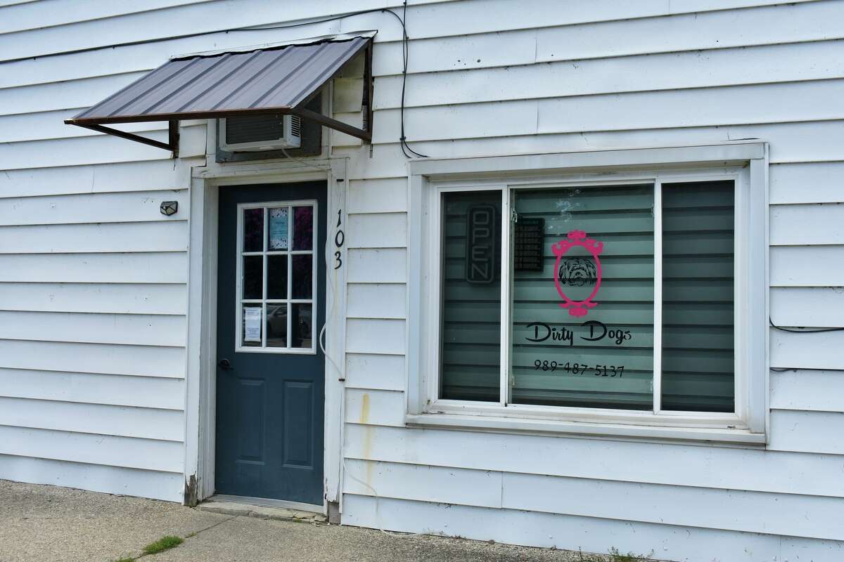 Big Rapids Dirty Dogs Grooming & Day Care serves furry friends