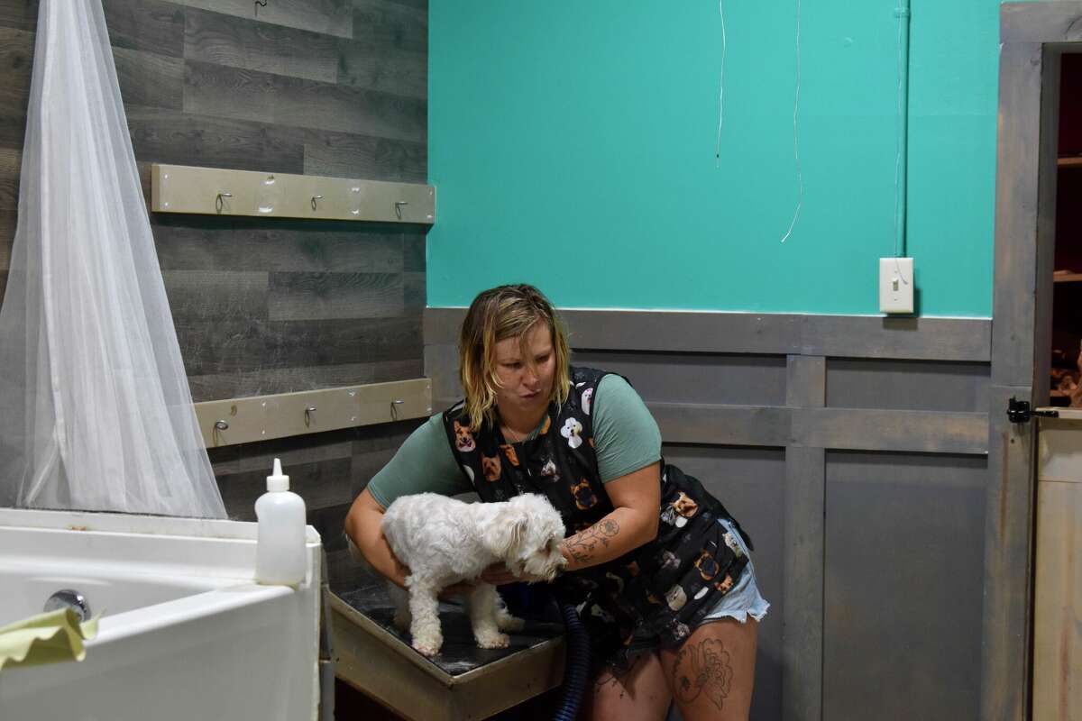 Big Rapids Dirty Dogs Grooming & Day Care serves furry friends