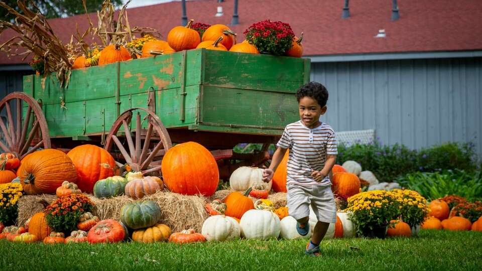 Fall Festival at George Ranch Historical Park. 