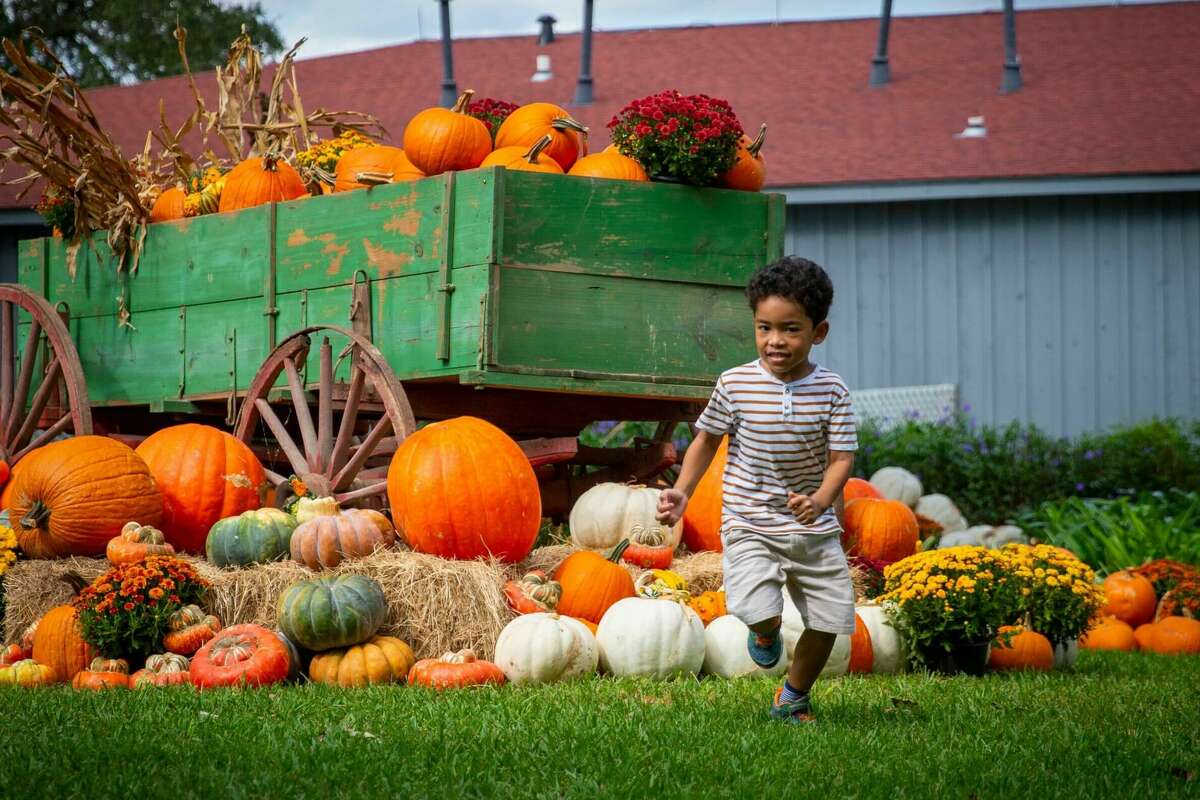 Story photo for Houston's first cold front of the fall is expected this week