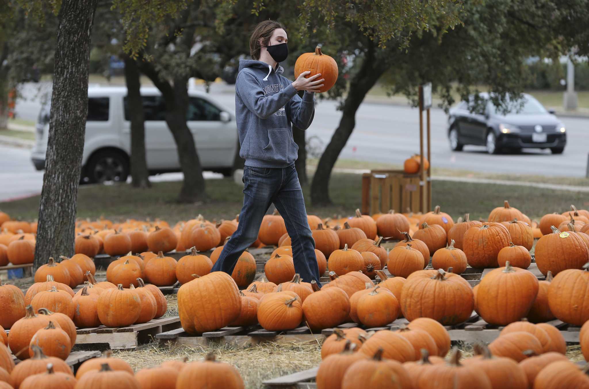 San Antonioarea pumpkin patches to check out