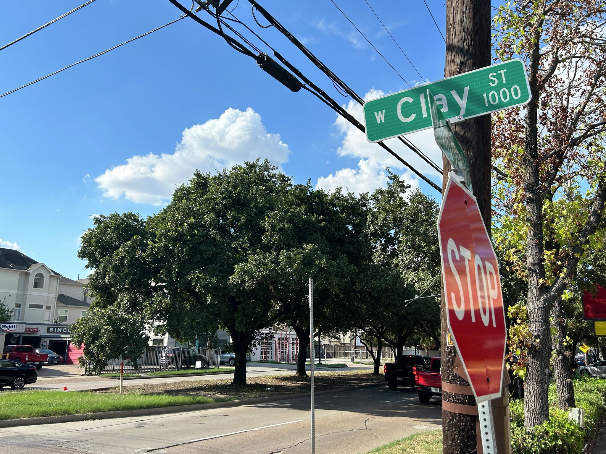 Residents fight to stop cutting of mature Houston trees