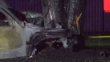 Driver dead after car crashes into tree, catches fire, police say