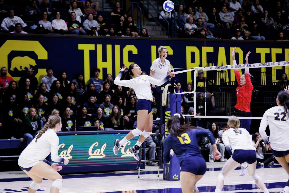 Cal Volleyball Announces 2023 Schedule - California Golden Bears