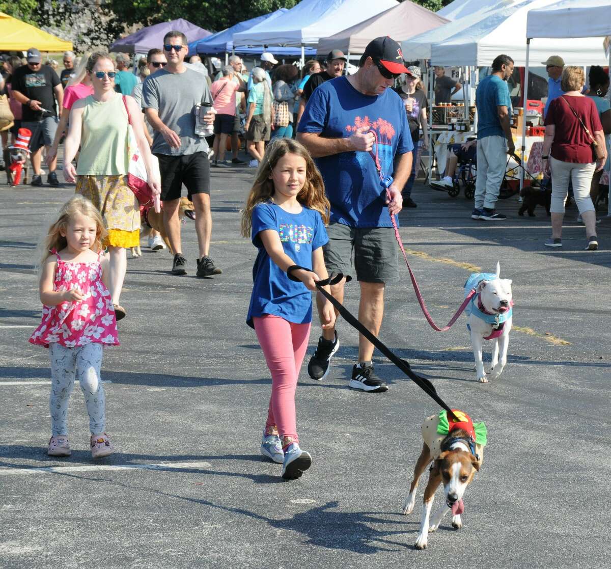 Canine carnival fills arfisans market in Alton on Saturday