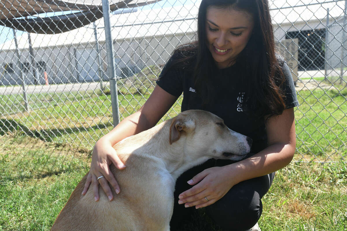 Beaumont Animal Care worker Viviana Lopez sat down for some questions