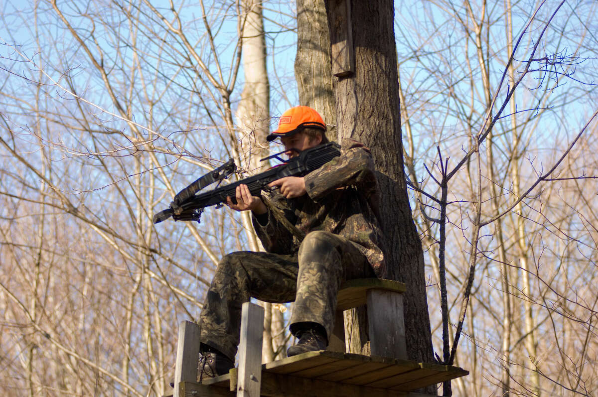 rifle hunting deer