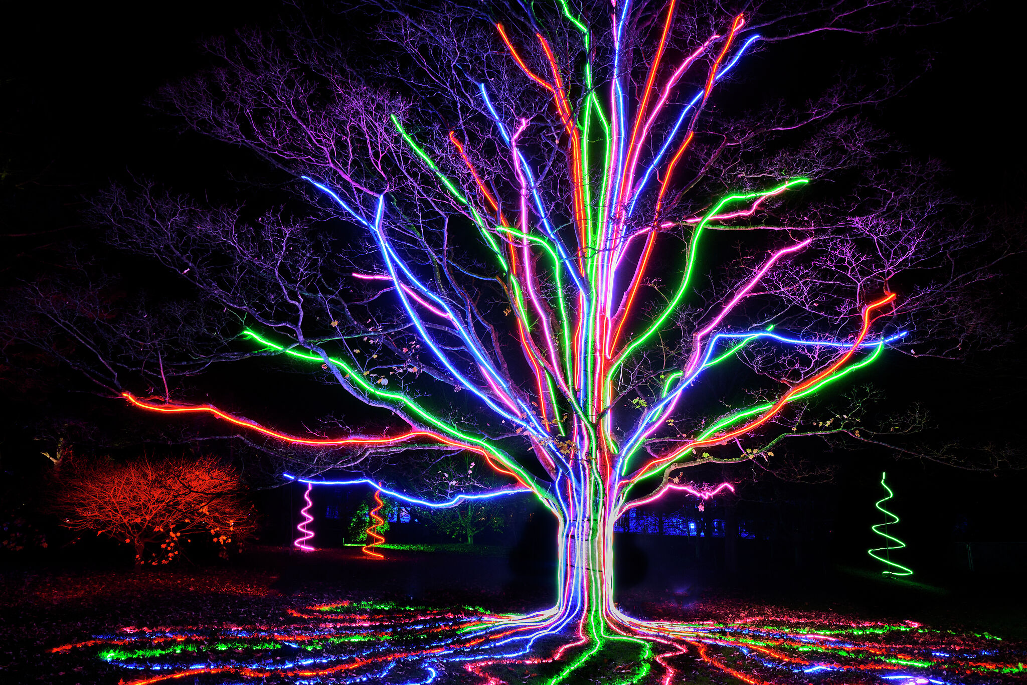 'Lightscape' returns to the San Antonio Botanical Garden
