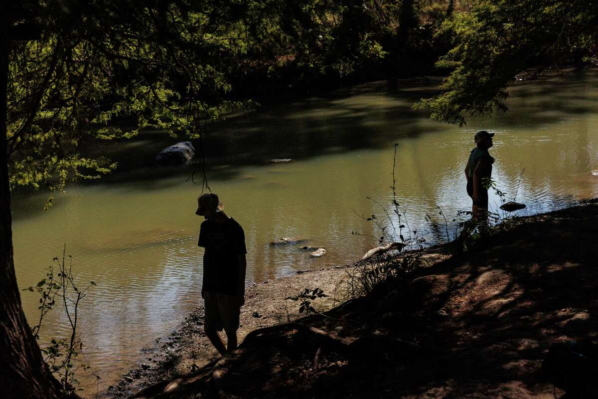 Trinity University students participate in a forest bathing exercise led by professors Laura Allen and Courtney Crim during a field trip to the Guadalupe River State Park in Spring Branch.