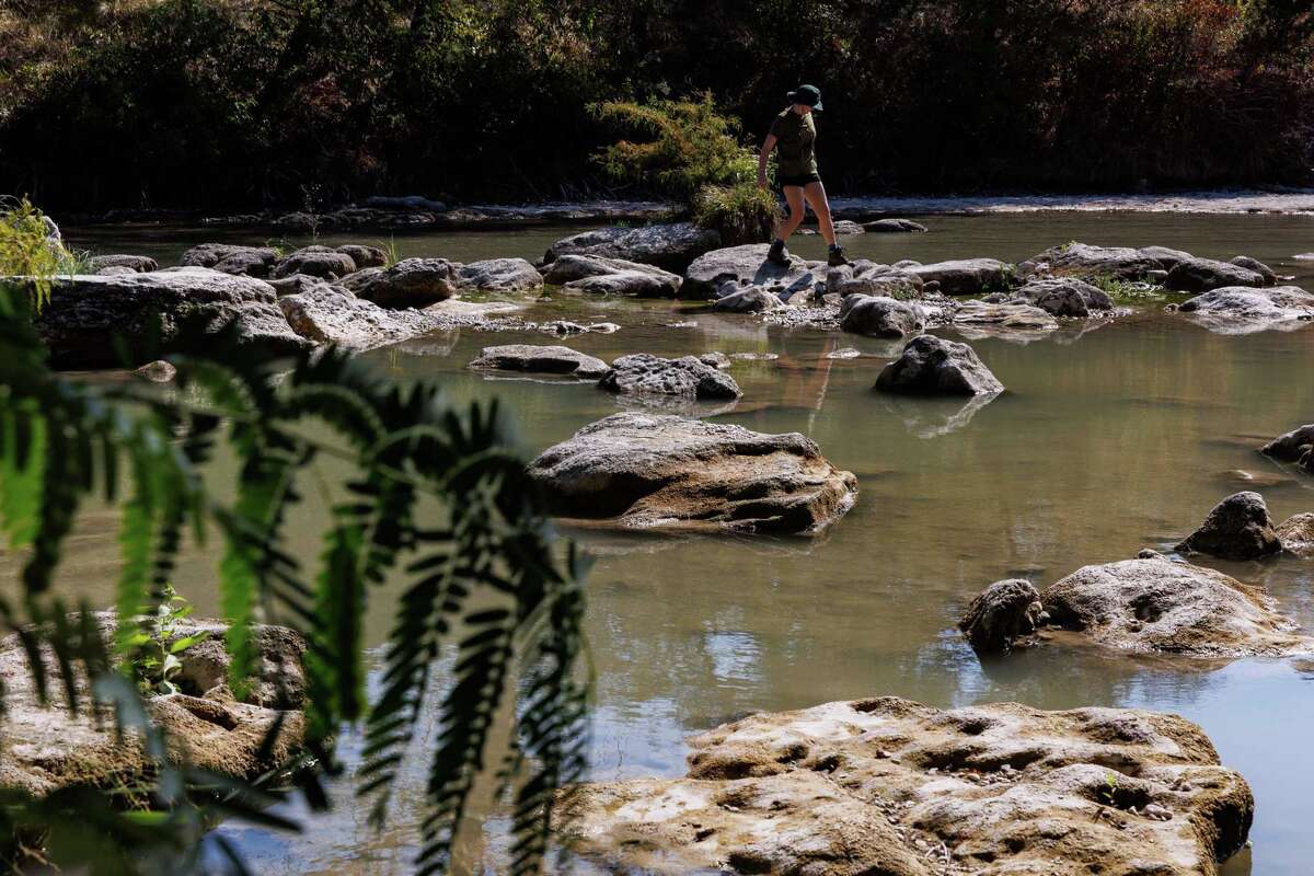 A Trinity University student explores Guadalupe River State Park during a field trip for a class led by professors Laura Allen and Courtney Crim. The students were led through a forest bathing exercise and tea ceremony to connect with the outdoors and to de-stress.