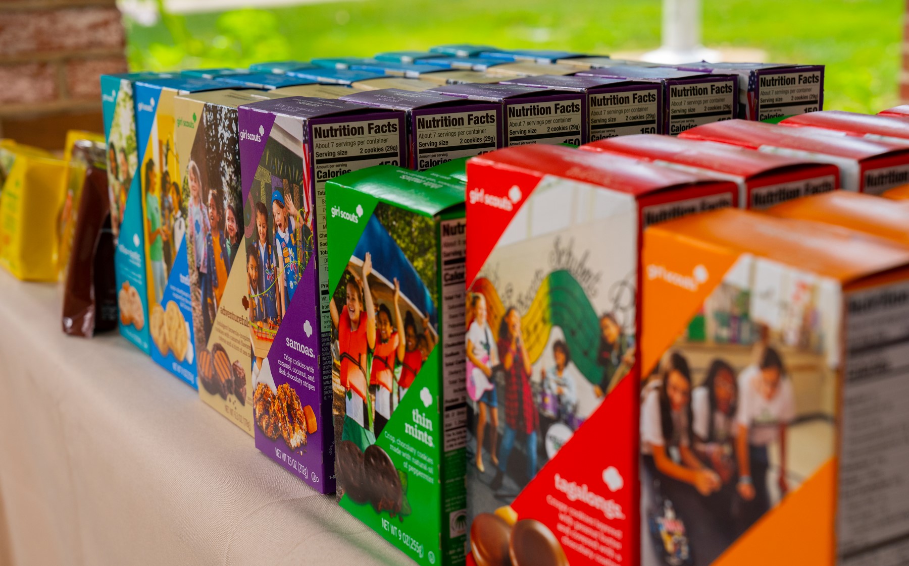 Raspberry Rally Girl Scout Cookie Boxes Selling on  at High Prices