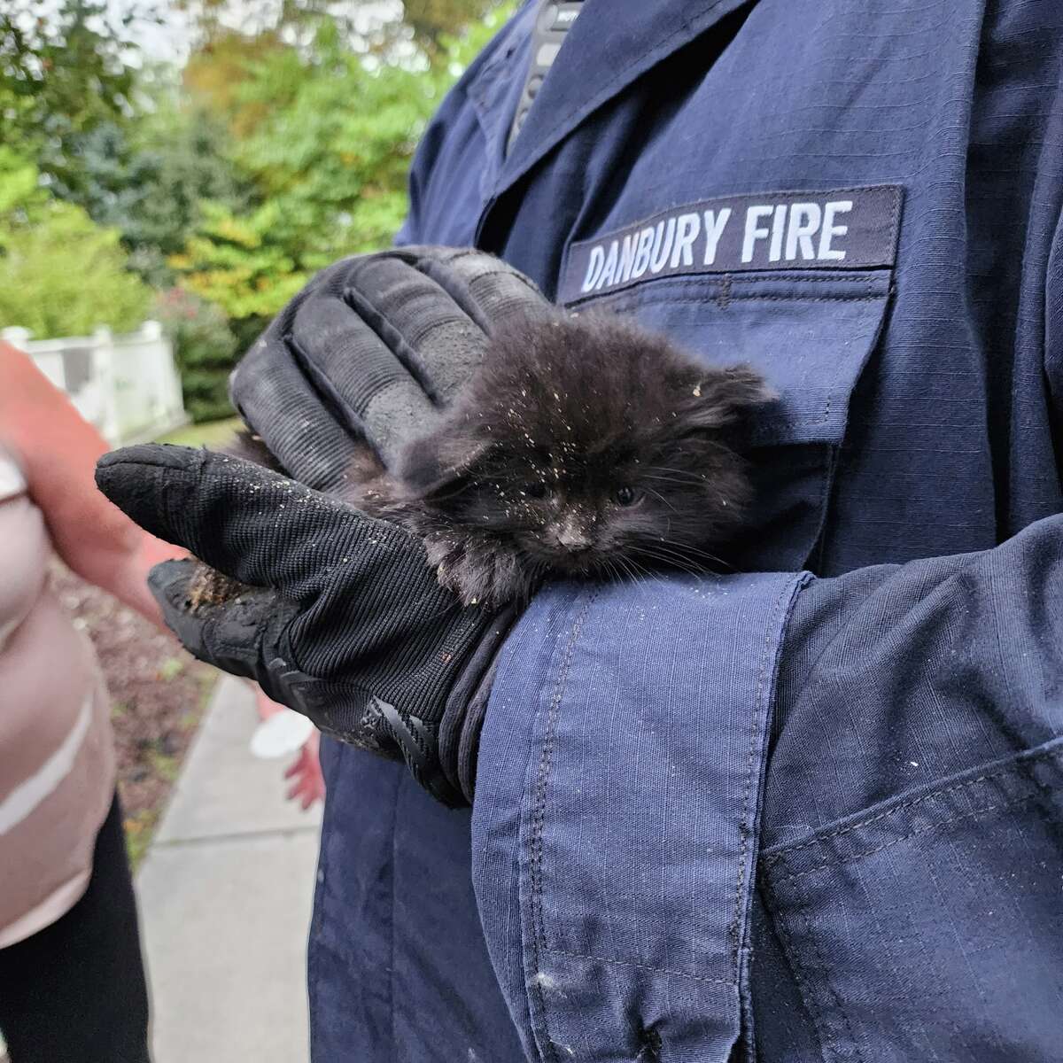 Danbury firefighters rescue goose trapped in baseball field nets